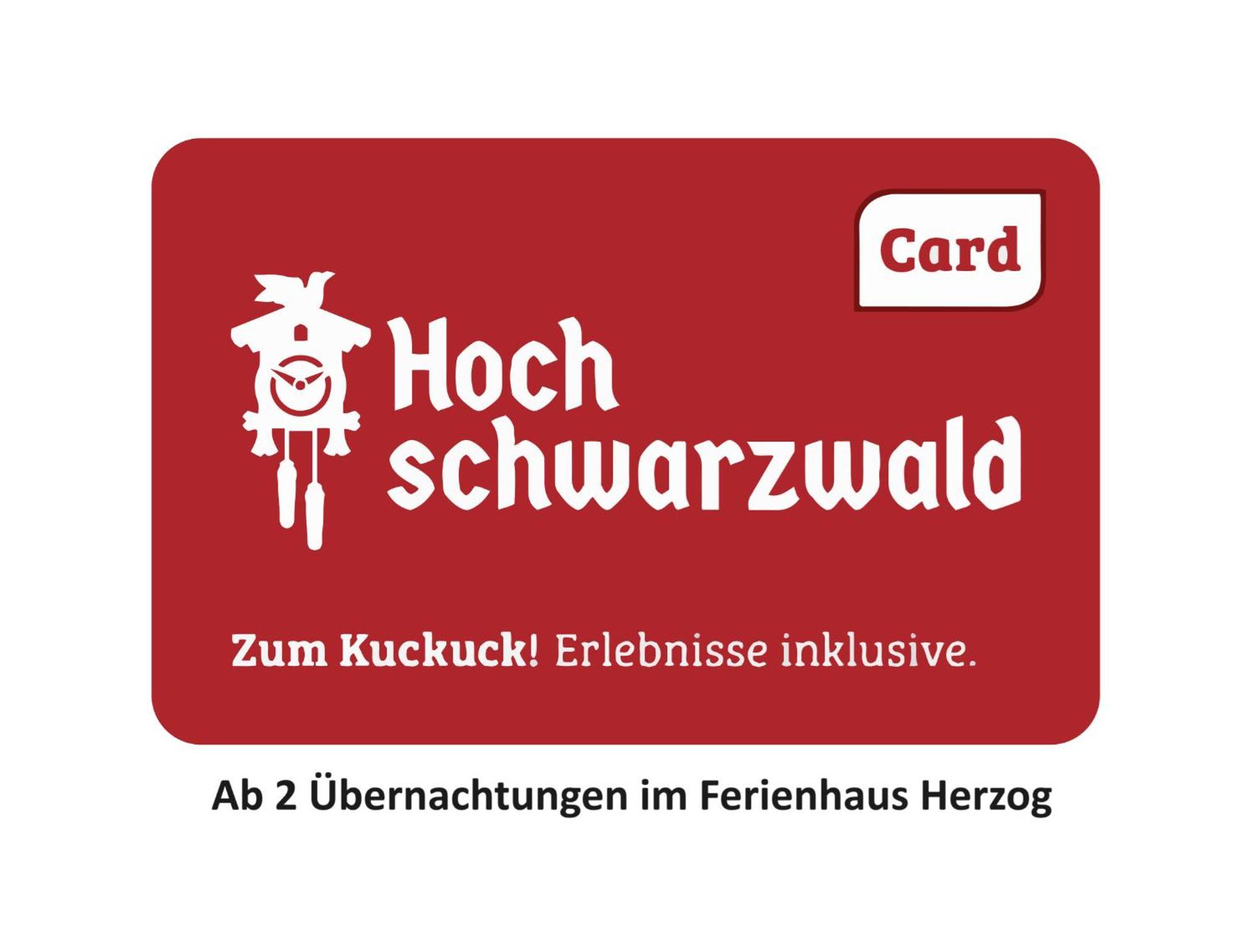 Ferienhaus Haus Herzog Titisee-Neustadt Exterior photo